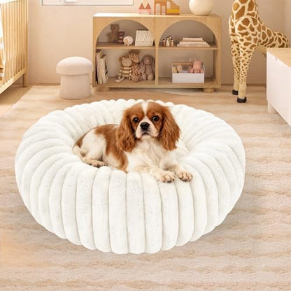 Washable Small Cat Dog Bed,Puppy Bed Cat Beds for Indoor Cats(White,M)