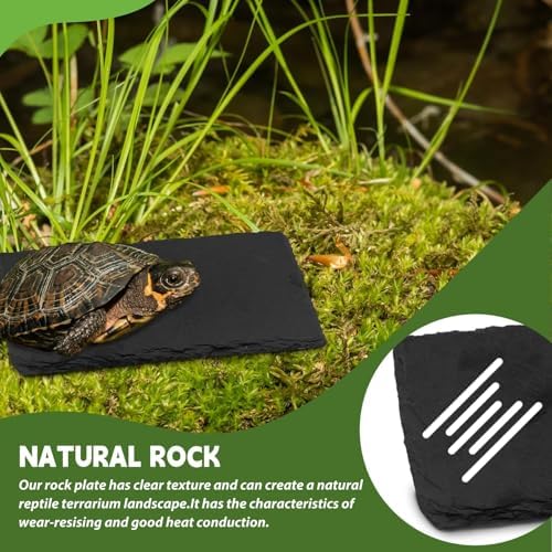 kathson 2 PCS Reptile Basking Platform (7.9 x 3.9 inches), Natural Rock Plate Turtle Food Bowl Feeding Dish Resting Terrace Habitat Decor for Tortoise Turtle Lizard Bearded Dragon Crested Gecko Snake