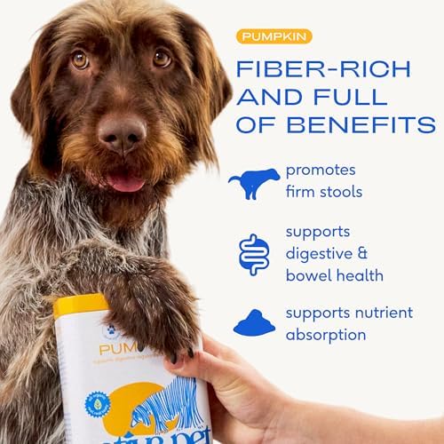 Native Pet Pumpkin for Dogs - Organic Dog Food Topper Powder - Promotes Firm Stools, Supports Digestive, Bowel Health & Nutrient Absorption - USDA Organic, Rich in Fiber with Real Pumpkin - 120 Scoops