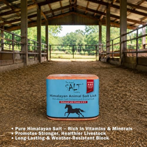 Himalayan Animal Salt Block 5 lb with Vitamins A & E – Fortified Mineral Salt Lick for Horses & Livestock – Compressed Pink Himalayan Block for Stall & Controlled Feeding