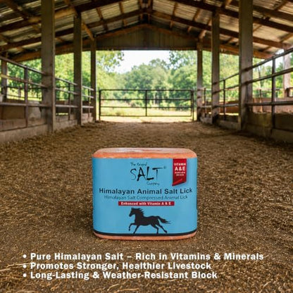 Himalayan Animal Salt Block 5 lb with Vitamins A & E – Fortified Mineral Salt Lick for Horses & Livestock – Compressed Pink Himalayan Block for Stall & Controlled Feeding