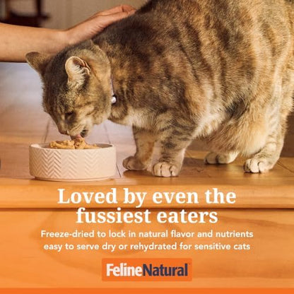 Feline Natural - High Protein Freeze Dried Dry Cat Food with 98% Meat