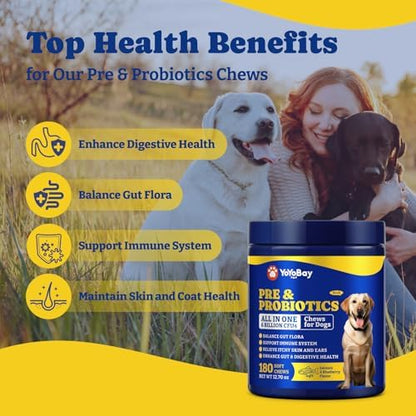 Probiotics for Dogs, Dog Gut, Immune & Skin Health Support Supplement