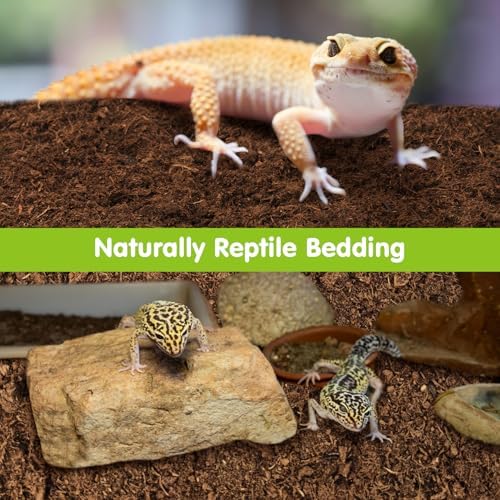 VCEPJH 2 Pcs Reptile Substrate Burrowing Tortoise Bedding for Habitat Bearded Dragon Enclosure Topsoil Terrarium Substrate for Snake Tarantula Gecko Lizard Spidey Frog Hermit Crab (5 L)