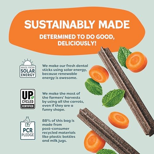 Shameless Pets Carrot & Mint Dental Chews for Dogs, 32 Chews