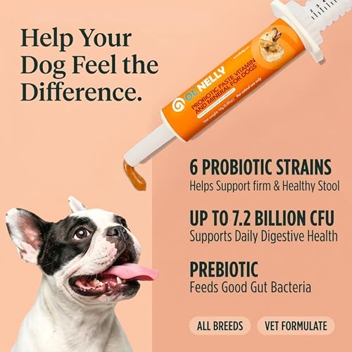 OL’ NELLY Dog Probiotic Paste for Dogs & Cats, 7.2 Billion CFU, Helps Support Loose Stool, Gas & Sensitive Stomach, 6-Strain Probiotics + Prebiotic, 14g