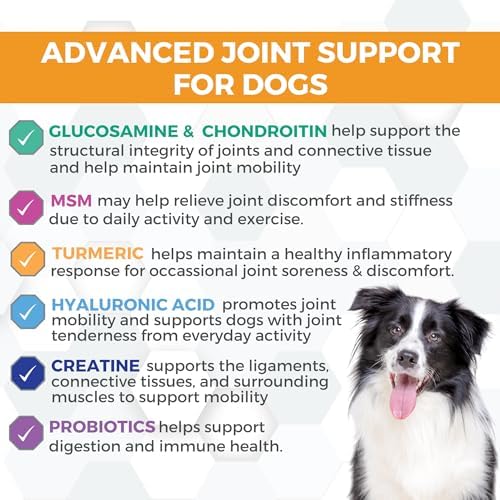Progility Hip & Joint Glucosamine Supplement for Dogs, Chondroitin & MSM