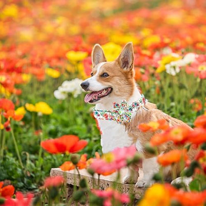 Dog Collar Cute Flowers Print Pet Collar Soft Collar with Flower Adjustable Metal Buckle Collars Gift for X-Large Dogs