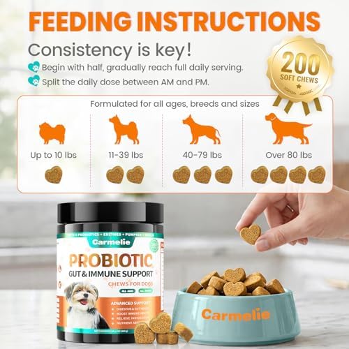 Carmelie Probiotics for Dogs Yeast, Gut Health for Digestive Enzymes 200ct