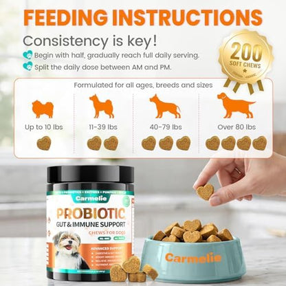 Carmelie Probiotics for Dogs Yeast, Gut Health for Digestive Enzymes 200ct