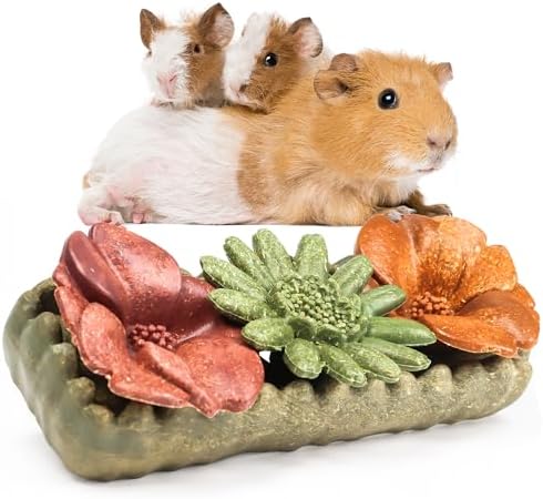 TEEWY Guinea Pig Chew Toys, Prevent Teeth Overgrowth, Natural Timothy Grass & Vegetables, Hamster Chew Toys, Guinea Pig Toys, Chinchilla Toys, 4PCS, Grass Patch & Flowers