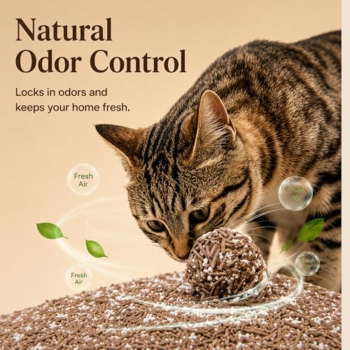 HANAMYA Tofu & Cassava Cat Litter with Recycled Coffee Grounds, Natural Odor Control, Low Dust & Strong Clumping, 5.5 lb, 4 PK