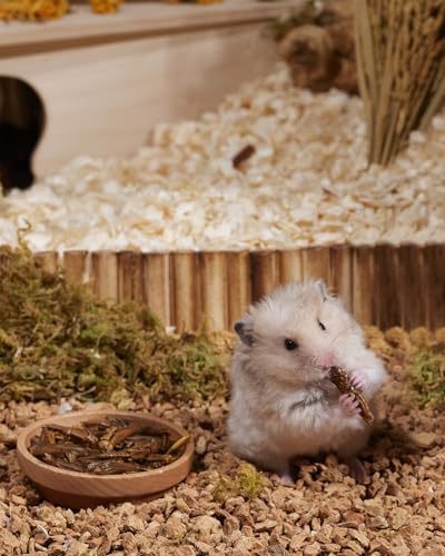 Niteangel Small Animal Snack & Treats: Freeze-Dried Grasshopper & No Add