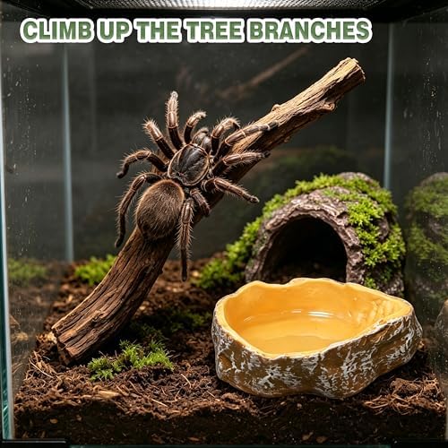 Jumping Spider Enclosure Accessories Kit, 8-in-1 Tarantula Decor Set with Magnetic Ledge, Hide, Food Dish, Thermometer, Branches, Miniatures for DIY Habitat (Tank Not Included)