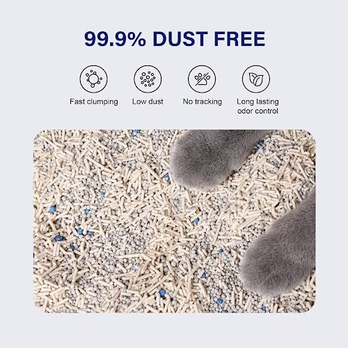 HONEY CARE Petrichor Mix Cat Litter I Tofu Cat Litter I Nature Plant-Based Pellets and Bentonite Sustainable I Low-Dust Qucik Clumping Superior Odor Control, 6 Lbs (Pack of 6)