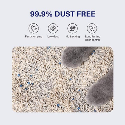 HONEY CARE Petrichor Mix Cat Litter I Tofu Cat Litter I Nature Plant-Based Pellets and Bentonite Sustainable I Low-Dust Qucik Clumping Superior Odor Control, 6 Lbs (Pack of 6)