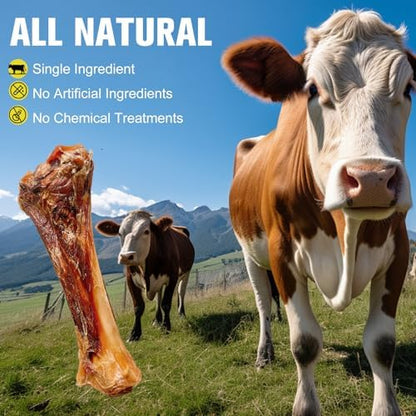 Real Beef Bones for Dogs with Meat - 8'' Big Dog Bones Beef Shank Bone, Rawhide-Free Long-Lasting Natural Single-Ingredient Dog Treats for Small, Medium & Large Dogs (1 Count)