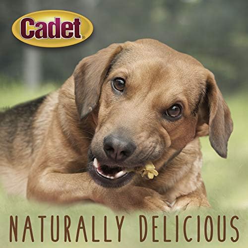 Cadet Gourmet Chicken & Apple Wrapped Biscuits Dog Treats, 14 oz