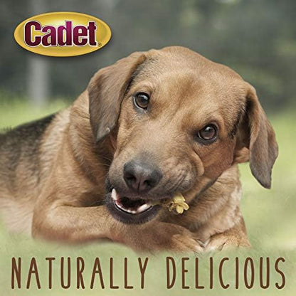 Cadet Gourmet Chicken & Apple Wrapped Biscuits Dog Treats, 14 oz
