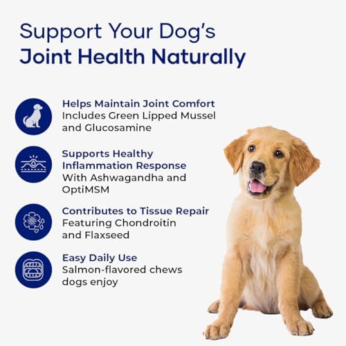 Hip and Joint Supplement for Dogs with Glucosamine Chondroitin MSM and Ashwagandha | Dog Joint Supplement Soft Chews for Mobility and Cartilage Support | for All Dog Breeds