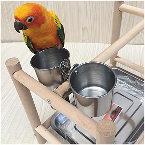 Texsens Bird Feeding Cups - Parrot Food Dish Stainless Steel Parrot Feeders Water Cage Bowls with Clamp Holder for Parakeet African Greys Conure Cockatiels Budgies Chinchilla Small Animal