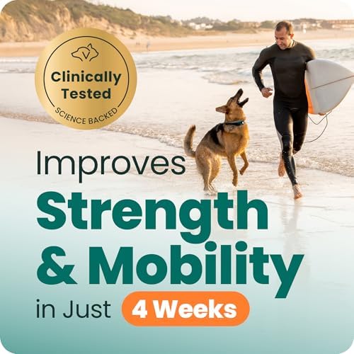 VetriScience Extra Strength Healthy Hip and Joint for Dogs, 3 Pack