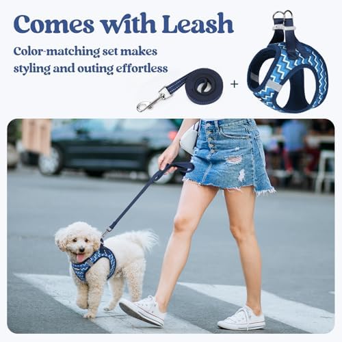 rabbitgoo Dog Harness Medium Sized and Leash Set, Step-in Puppy Pet Vest