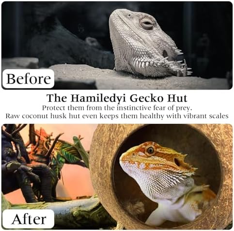 Hamiledyi Lizard Coco Den Reptile Hideouts Gecko Coconut Shell Hut Coconut hut for Geckos Bearded Dragon Tank Accessories Coconut Lizard Hut with Ladder - Natural Coconut Fiber