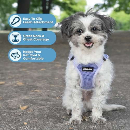 Voyager Step-in Flex Adjustable Dog Harness - Lavender, Small