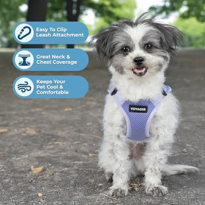 Voyager Step-in Flex Adjustable Dog Harness - Lavender, X-Large