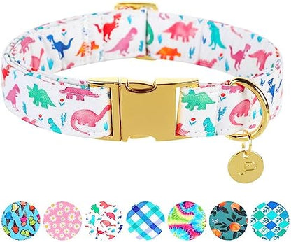 Dinosaur Summer Cotton Dog Collar with Metal Buckle Gift Collar for Small Medium Large Girls or Boys Dogs Cute Durable Comfortable Pet Collars