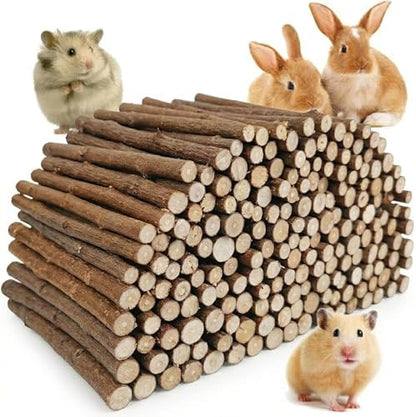 Jorewood 1 LB (16oz) Natural Apple Wood Chew Sticks for Rabbits, Hamsters, Chinchillas - Extra Hard Teeth Grinding Toy | Untreated, Safe & Long-Lasting Rodent Chews