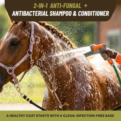 Antifungal Shampoo for Horse Antibacterial Formula Clinical Care Antiseptic