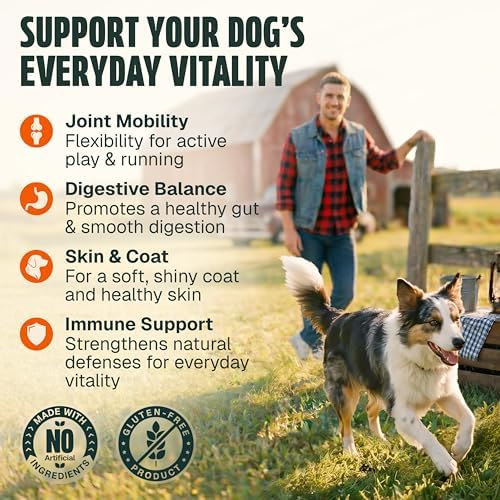 Dog Vitamins and Supplements 250 Chews - 26 in 1 Dog Multivitamin Soft Chews with Glucosamine, Chondroitin, Probiotics, Omega 3 - Hip & Joint, Skin & Coat, Immune Support - Chicken Flavor
