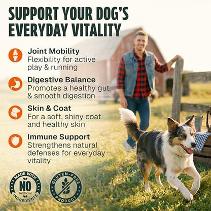 Dog Vitamins and Supplements 250 Chews - 26 in 1 Dog Multivitamin Soft Chews with Glucosamine, Chondroitin, Probiotics, Omega 3 - Hip & Joint, Skin & Coat, Immune Support - Chicken Flavor