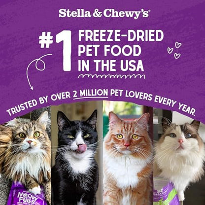Stella & Chewy's Freeze-Dried Raw Cat Dinner Morsels - Premium Salmon & Chicken Recipe with 98% Wild-Caught & Cage-Free Protein - Natural Grain-Free Cat & Kitten Food - Made in USA - 1 oz (Pack of 12)