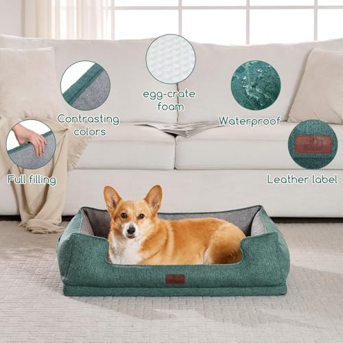 Hollypet Orthopedic Rectangle Dog Bed for Medium Dogs, Supportive Egg-Crate Foam Pet Beds with Removable Washable Waterproof Cover and Non-Slip Bottom, Green, 32" L x 24" W x 8.5" Th