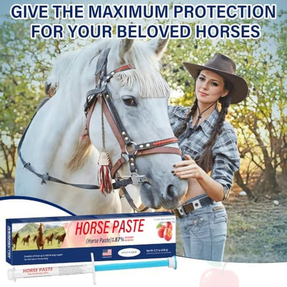 6 Pack (6.08g) Apple Flavored Oral Paste for Horses