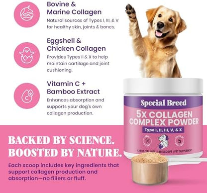 Premium 5X Collagen Powder for Dogs - Types I, II, III, V & X - Skin, Join, Gut & Coat Support - Collagen Powder with Bamboo & Vitamin C, 180 Scoops 4.28 oz