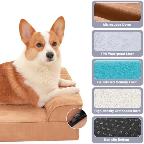 Rainmr Microsuede Dog Bed Orthopedic Washable - Small Medium XLarge Dogs - Memory Foam Couch Sofa with Waterproof Removable Cover, 30x20 Inches, Khaki