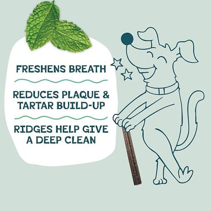 Shameless Pets Carrot & Mint Dental Chews for Dogs, 32 Chews