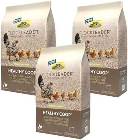 FlockLeader Healthy Coop,Litter Additive for Chicken Coop with Probiotic & Acidifier,Reduces Odor,Wetness & Bacteria,12lbs,(Pack of 3)