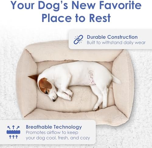 AKC Plush Cuddler Dog Bed, Low-Profile Entrance, Small Dogs, Beige, 25"