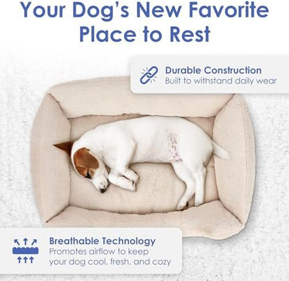 AKC Plush Cuddler Dog Bed, Low-Profile Entrance, Small Dogs, Beige, 25"