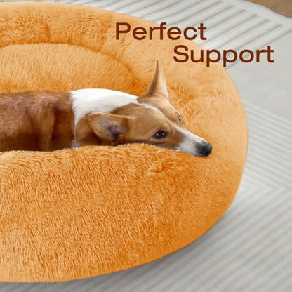 JOLLYVOGUE Dog & Cat Bed, Calming Anti-Anxiety Pet Bed for Small Dogs, Fluffy Donut Cushion for Small and Medium Pets (23")