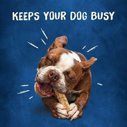 Purina Busy Rawhide Small/Medium Breed Dog Bones, Chewnola with Oats & Brown Rice - (Pack of 12) 2 ct. Pouches
