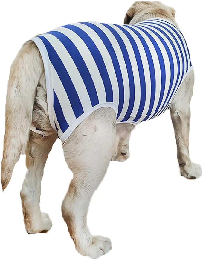 Dog’s Recovery Suit Post Surgery Shirt for Female Male Dog, E-Collar Alternative Wound Protective Clothes (Blue white-3xl)