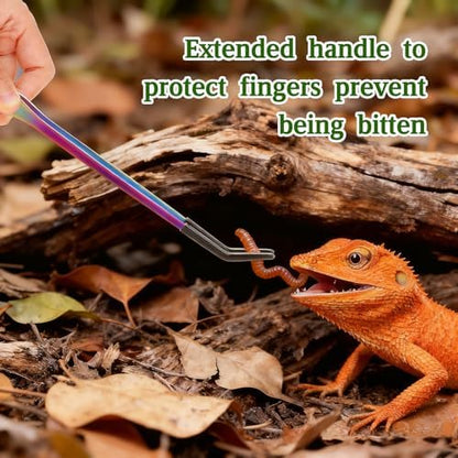 OLIISS Stainless Steel Reptile Feeding Tongs and Spoon Set - 10.6" Straight & Curved Tweezers for Aquariums & Crafts - Feeder Tools for Bearded Dragons & Lizards - Terrarium Tank Supplies