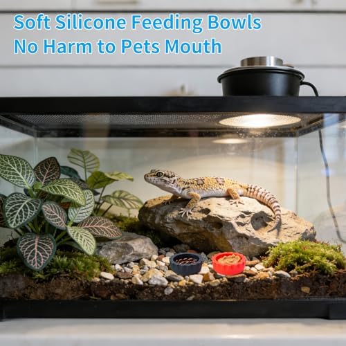 Gecko Feeding Bowls 12Pack Silicone Small Cups Reusable Food Water Dish Terrarium Bowls with 2 Feeding Spoon for Crested Gecko Leopard Gecko Lizards Snails Hermit Crabs Small Reptile