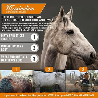 MAXIMILIAN Handmade Horse Brush Professional Horse Brushes for Grooming